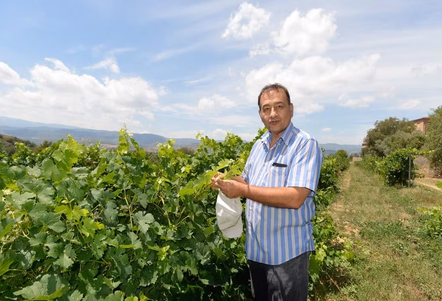 cata en bodega vila corona lleida