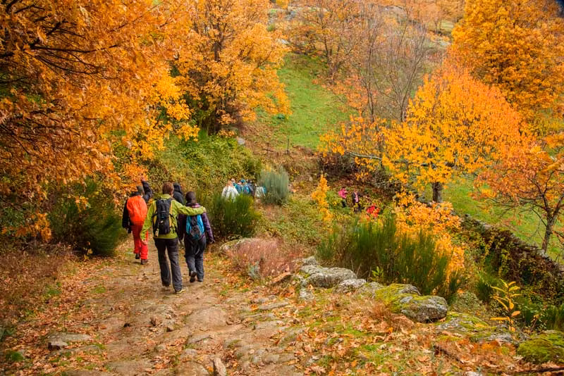 Senderismo en el valle del Ambroz.