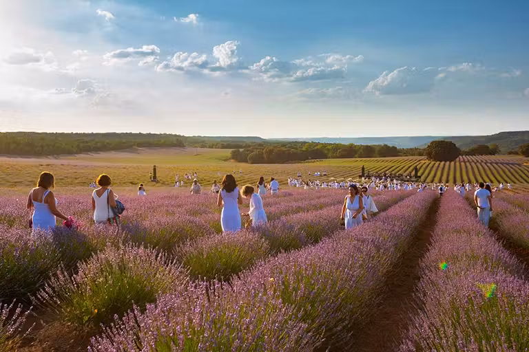 Visitantes del Festival de la lavanda de Guadalajara.