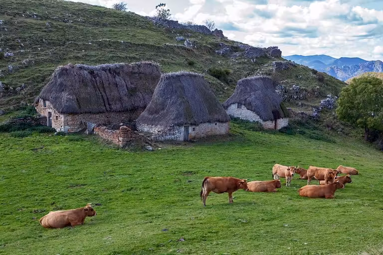 Braña Arbellales, con las típicas casas de teito