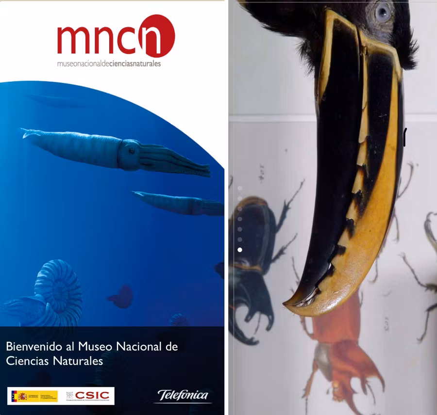 app museo nacional de ciencias naturales de madrid