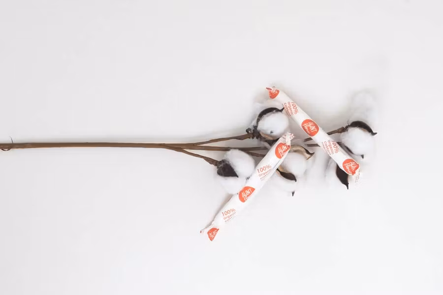 Tampones sobre rama de algodón.