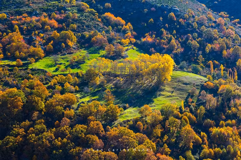 ruta bosques hervas caceres