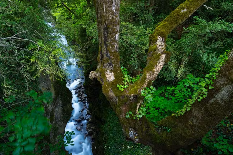Río Cinqueta en el valle de Chistau