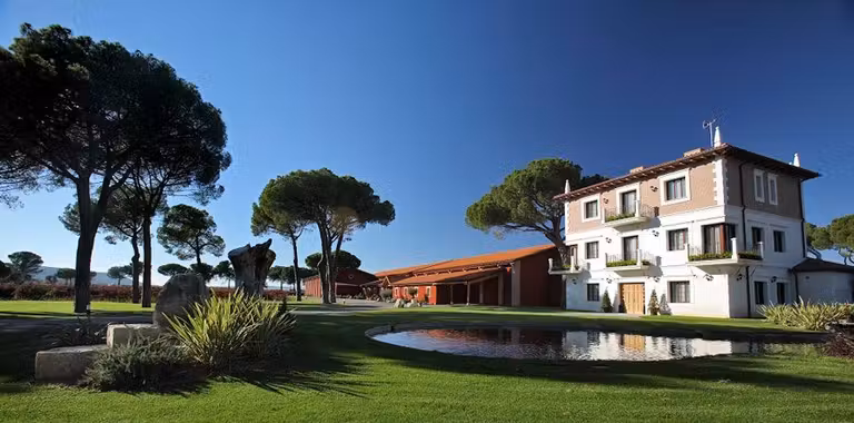 Ruta por Ribera del Duero: de bodega en bodega por la N-122