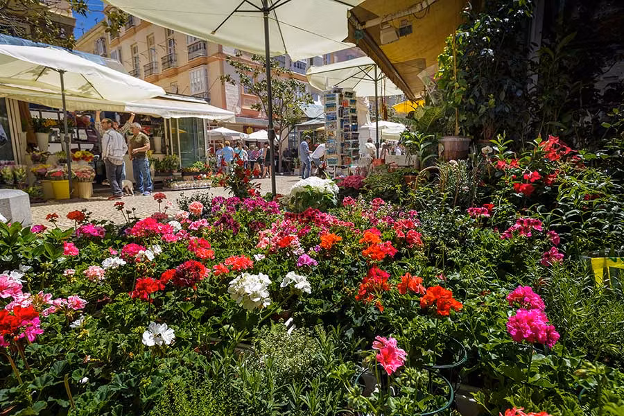 Plaza de las Flores de Cádiz capital.