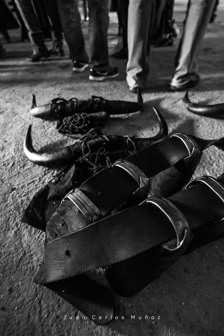 carnaval Luzon, carnaval Guadalajara