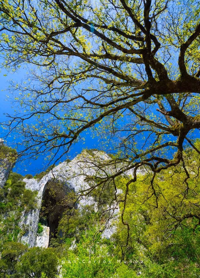 Cueva de la Leze, en el monte Altzania.