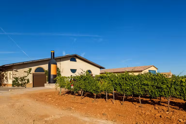 Destilería José Luis Ferrer, en la D.O. Binissalem.