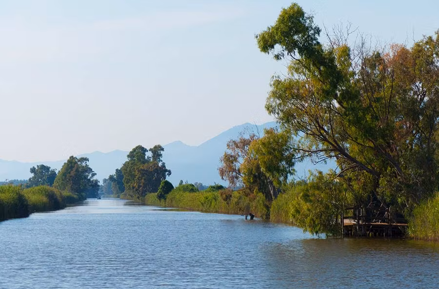Lago Massaciuccoli
