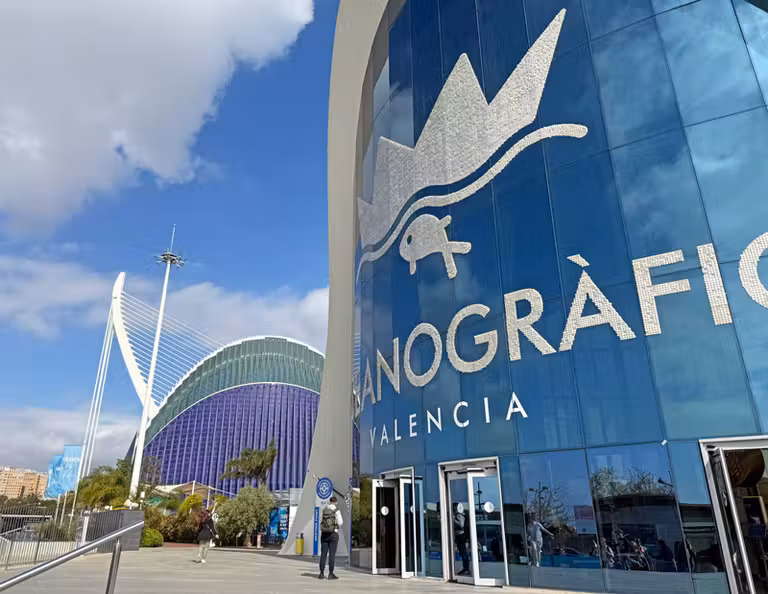 Oceanogràfic Valencia, la visita que no te puedes perder si viajas con niños a Valencia