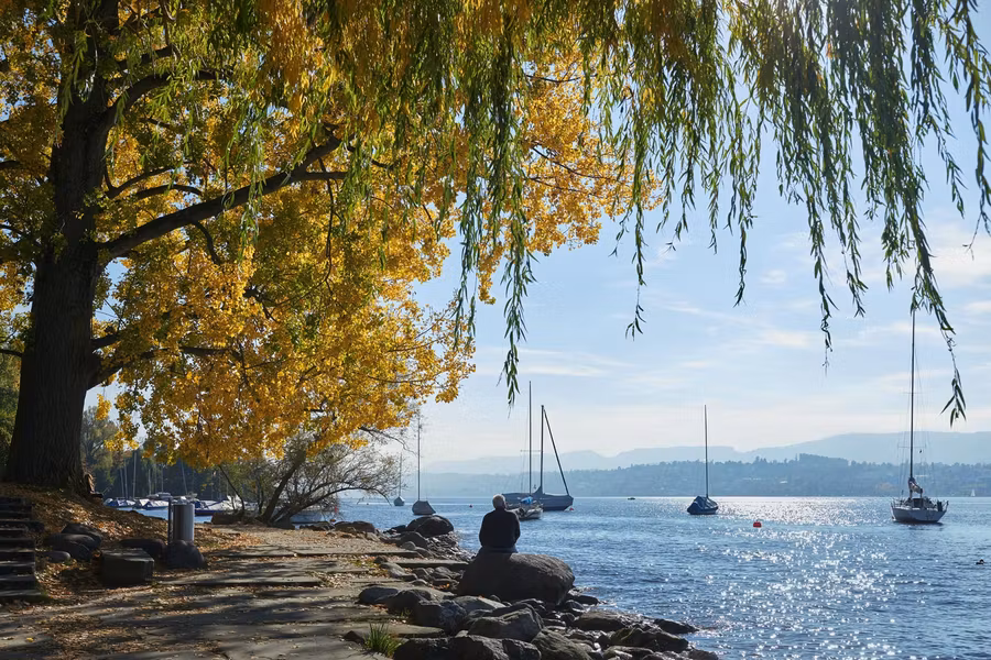 El lago de Zúrich con niños, 8 excursiones para familias amantes de la naturaleza