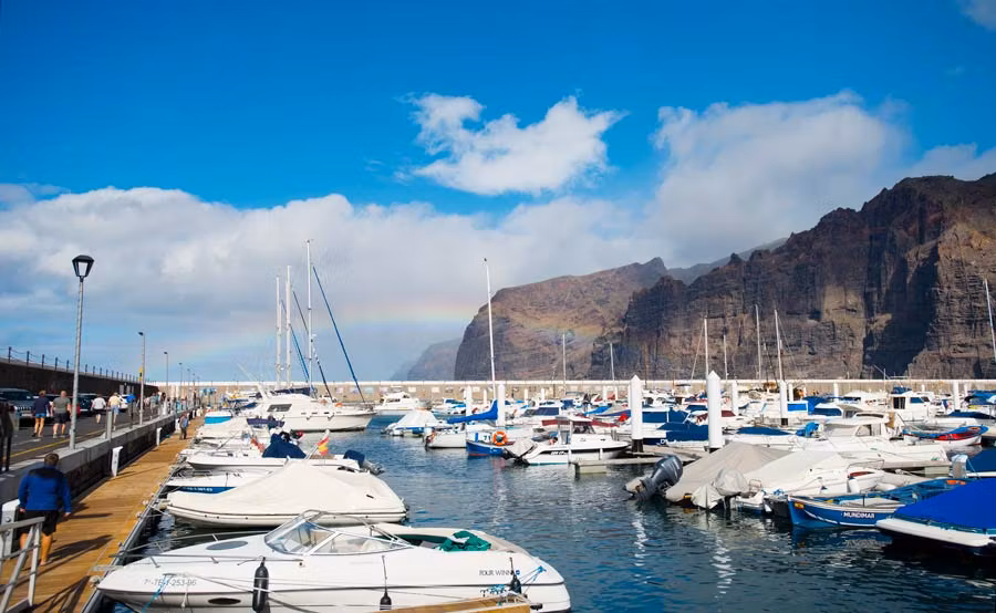 puerto de los gigantes, delfines tenerife