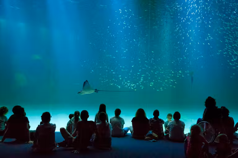 acuario en boulogne-sur-mer