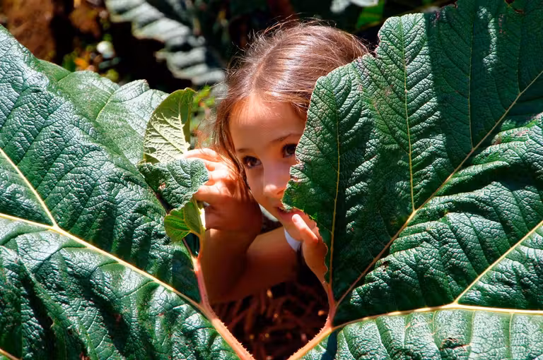 Las 5 escapadas familiares más leídas