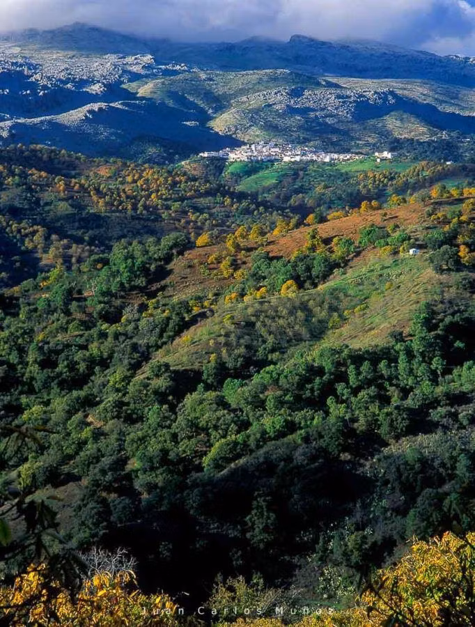 pueblos serrania de ronda, viaje malaga, naturaleza malaga