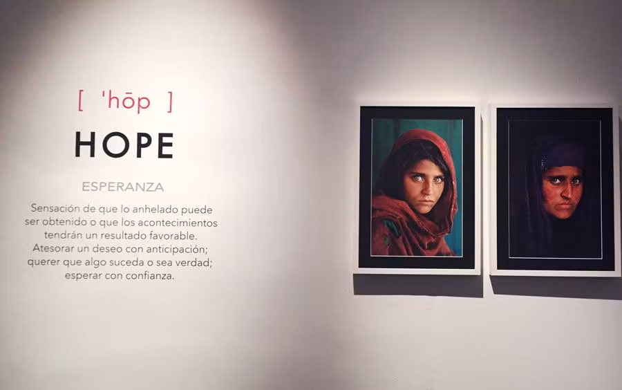 mccurry, exposiciones national geographic