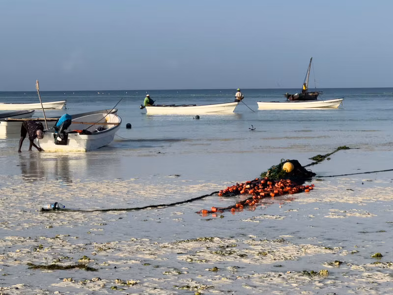 Playa de Kizimkazi en Zanzíbar.