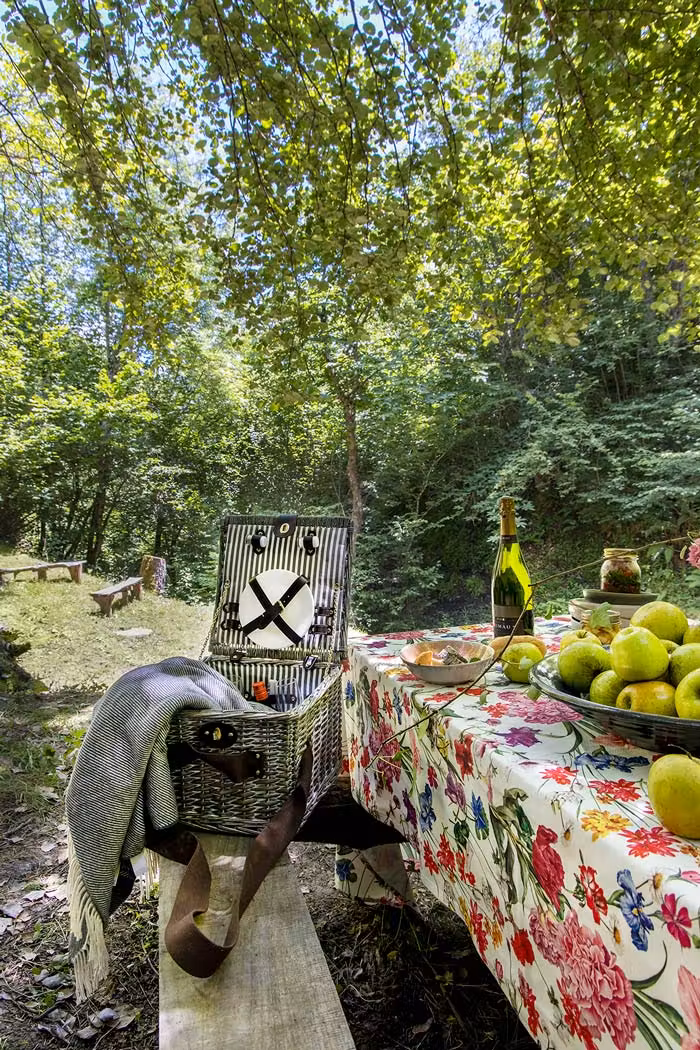 cestas picnic, tierra del agua, hotel asturias