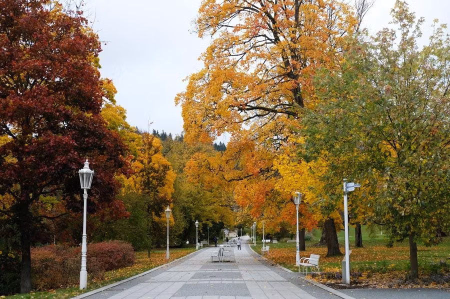 parque en otono en marianske lazne