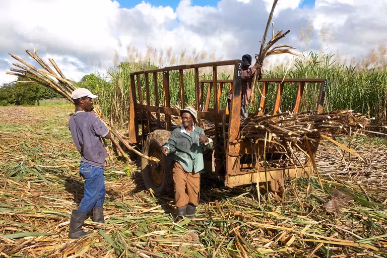Conocer e interactuar con la población local es básico para conocer un destino