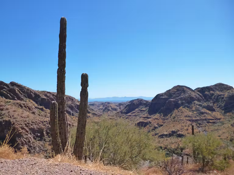 En la carretera entre Loreto y La Paz se unen el mar y el desierto. © Azucena Pacheco