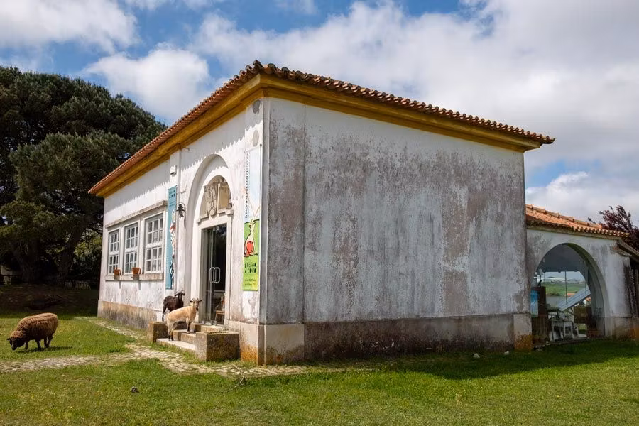 Librería ‘O Bichinho de Conto’, de Óbidos.