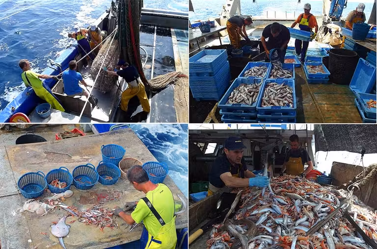 turismo de pescad en castellon