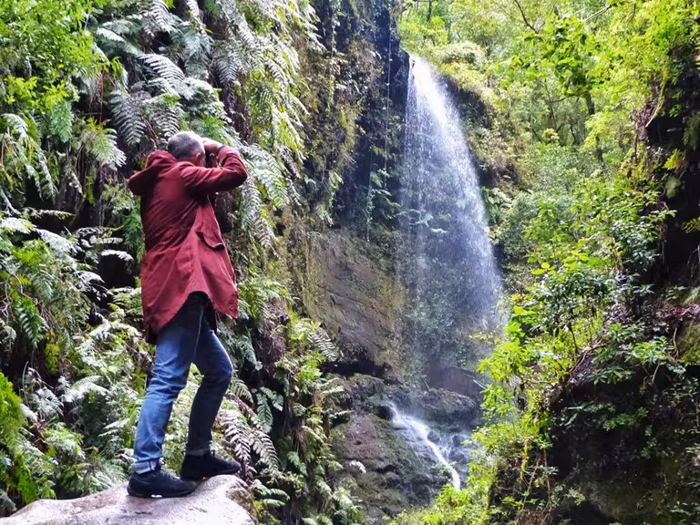 los tilos excursion la palma