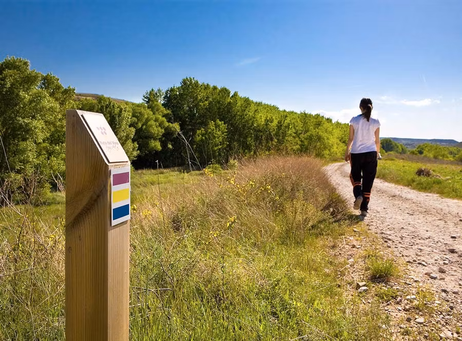 senderos del vino en ruta vino rioja alta