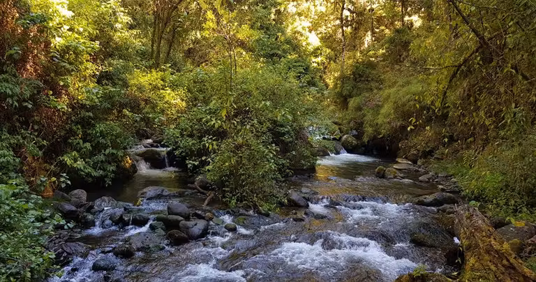 trogon san gerardo dota costa rica