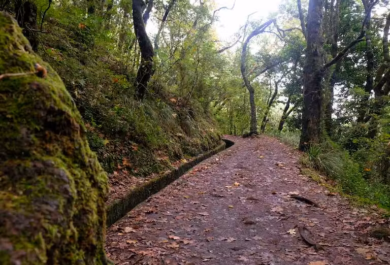 Ruta senderista por una levada en Madeira.