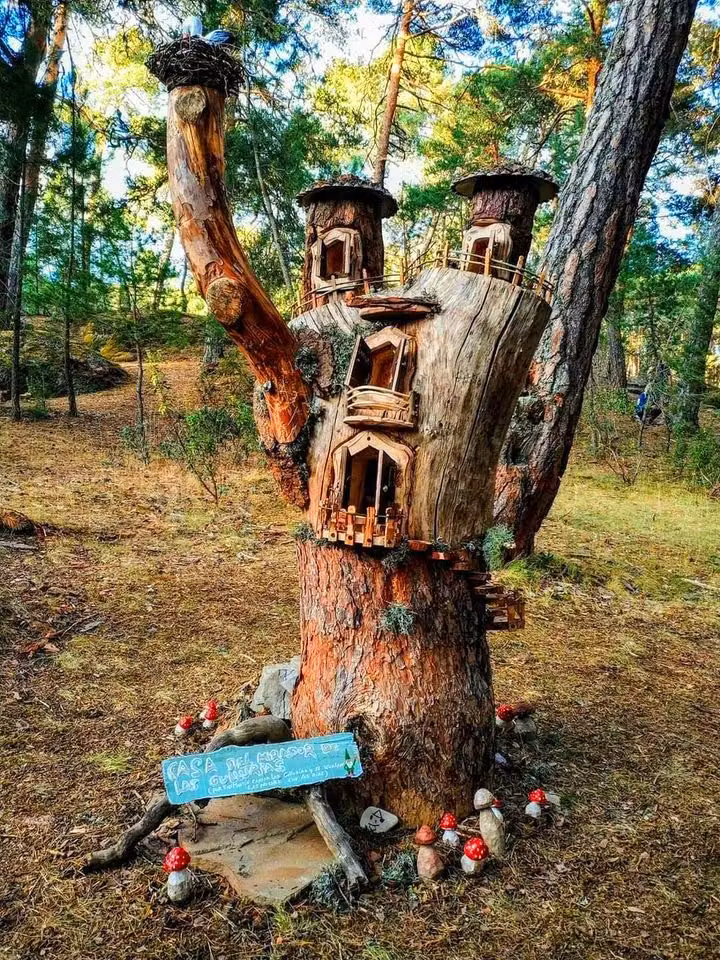 Bosque Mágico Fuente del Pino, en Soria.