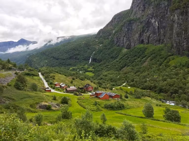 granjas en el tren de flam