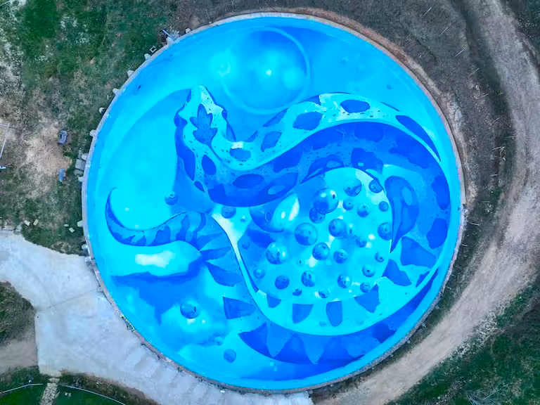 Tritón Miguelón, mural de garcibuey en Salamanca