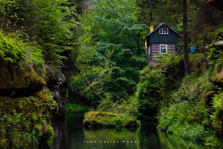 Trail, Gorges of Kamenice River, Bohemian Switzerland National Park, Czech Republic, Europe