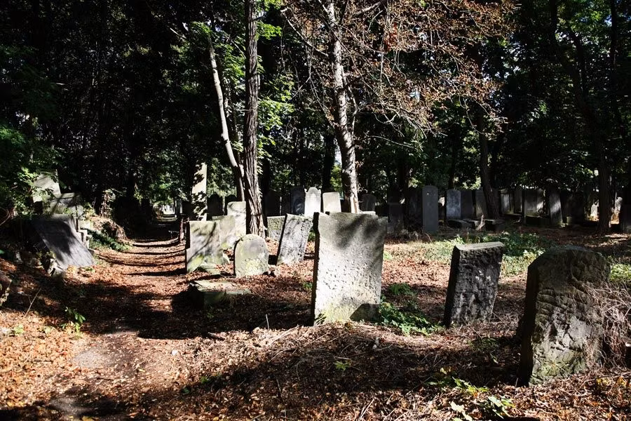 Cementerio Judio de Zydowski