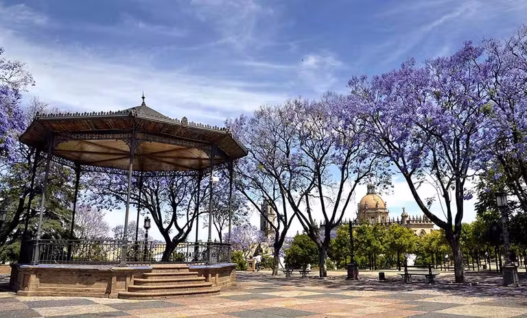 viaje jerez, jerez con amigas