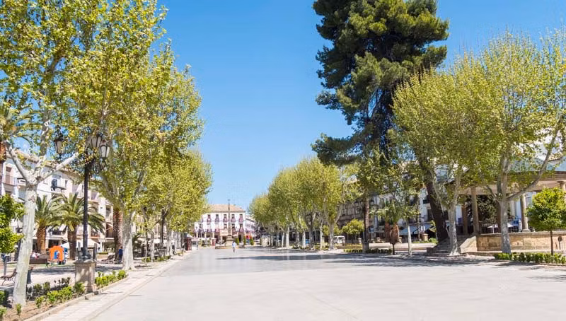 Paseo de la Constitución en Baeza.