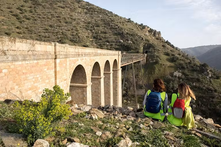 camino de hierro salamanca