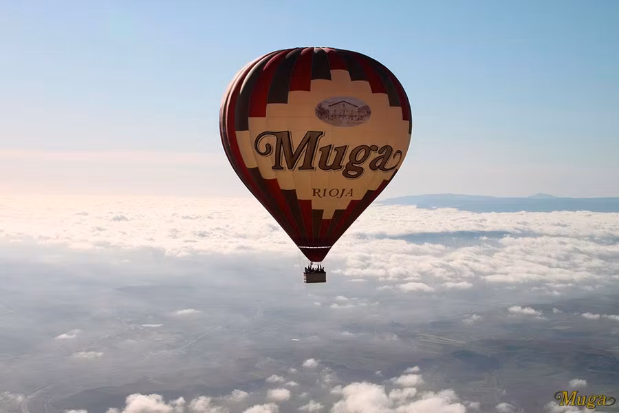 escapada en familia, enoturismo, ruta del vino, bodegas