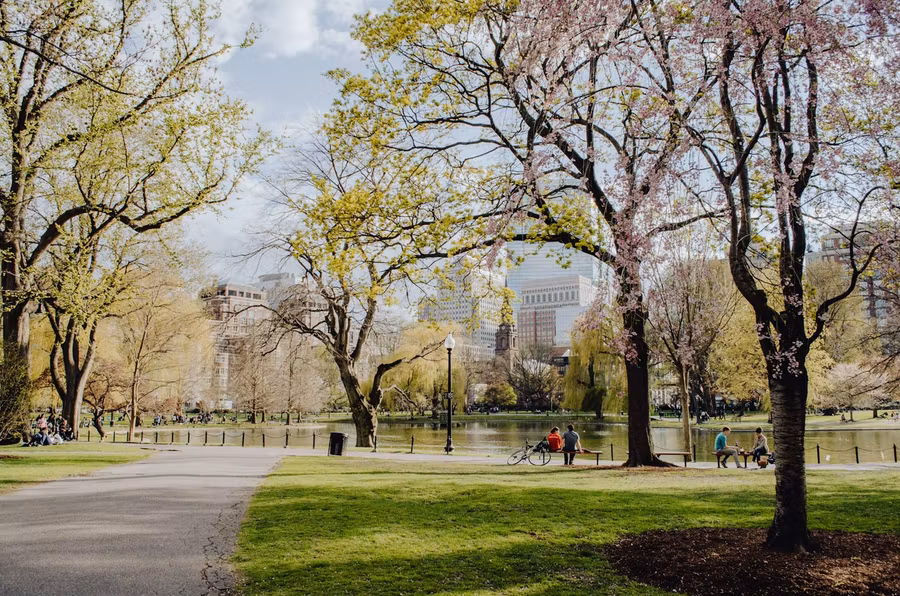 Boston Common.