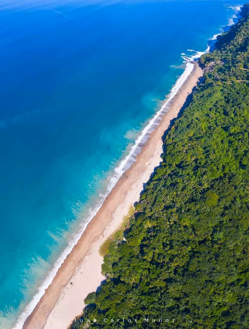 Costa de Riviera Nayari