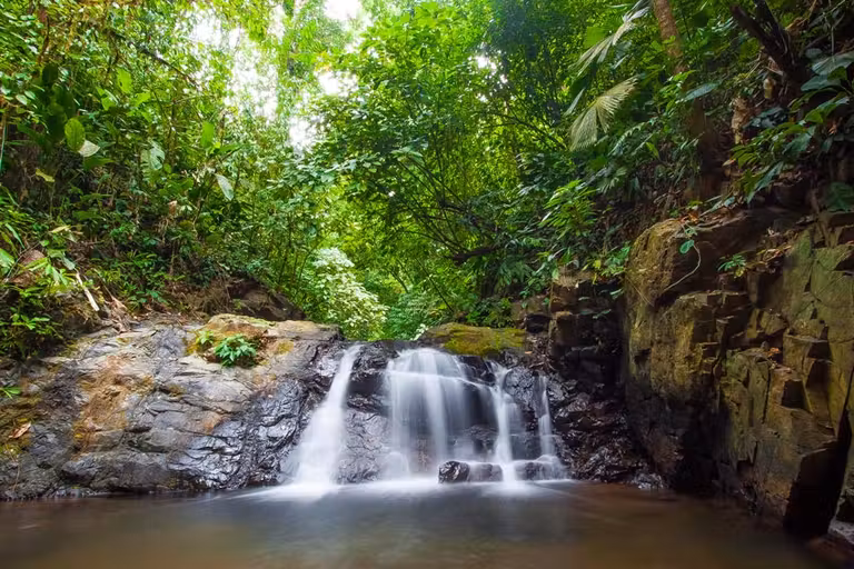 Península de Osa, planes con corazón en el último rincón de Costa Rica