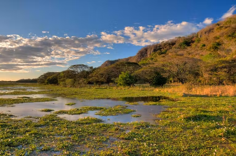 Laguna de Palo Verde en Guanacaste
