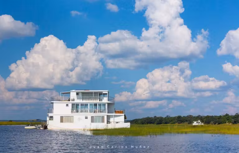 crucero rio chobe, fauna de africa, safaris en bostuana, viajes naturaleza, viajes para mujeres