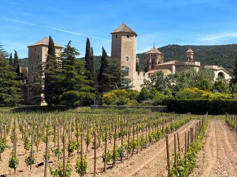 viñas en Monasterio de Poblet