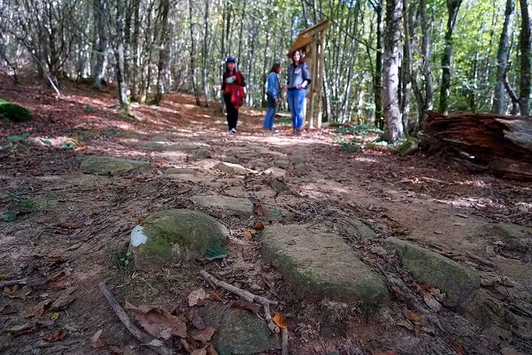 calzada de bernoa navarra con amigas