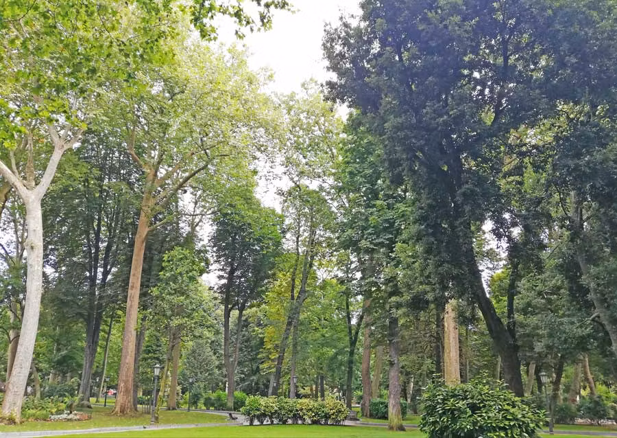 Campo de San Francisco.