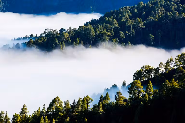 Caldera de Taburiente.